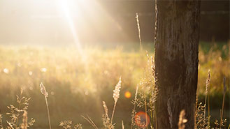 智能降噪处理的网络ddos监测分析工具