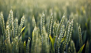 网站ddos隐藏源ip